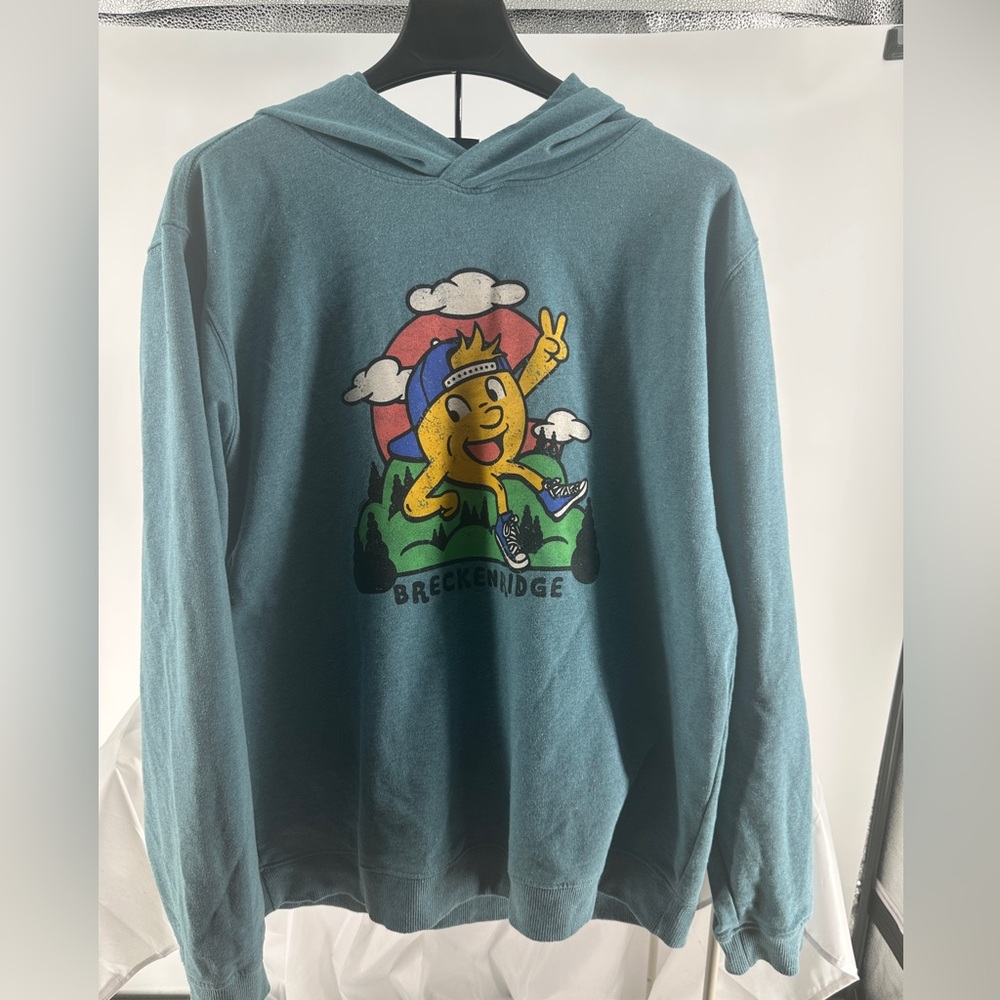 The duck company cartoon Breckenridge colorado hoodie